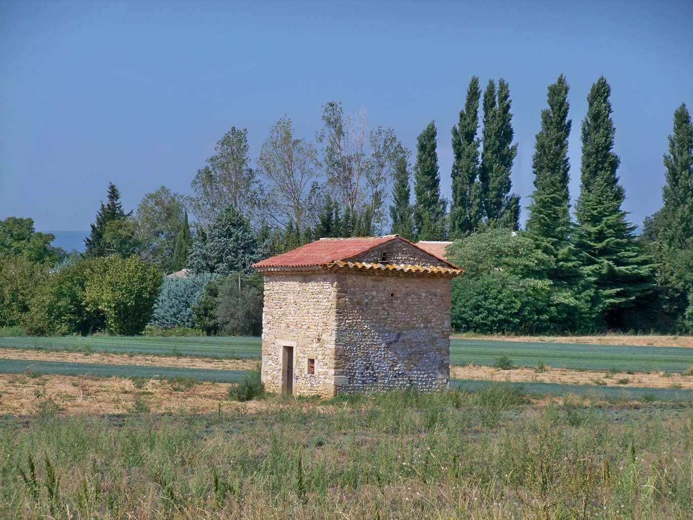 Un cabanon de pierre isolé dans un champ, avec un rideau d'arbres derrière
