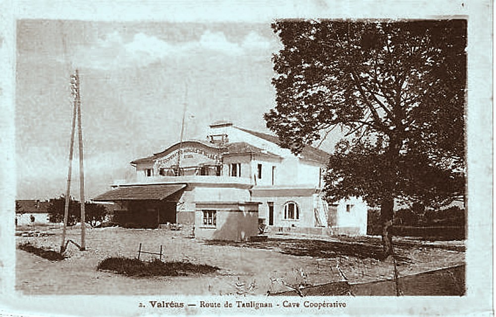 La cave coopérative de Valréas, un long bâtiment industriel de béton au bord de la route