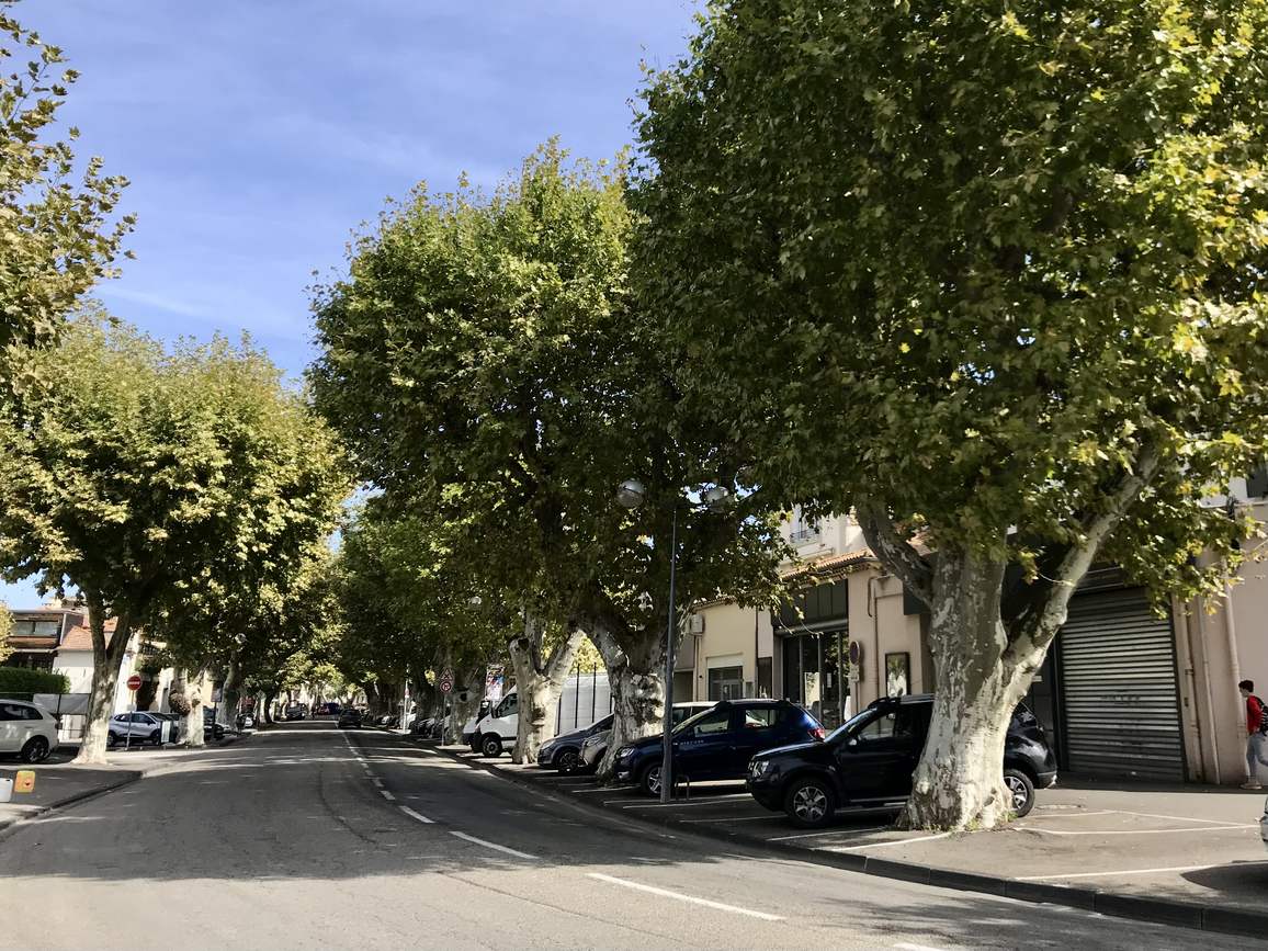 Le cours Victor Hugo à Valréas, bordé de platanes et de voitures en stationnement